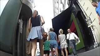 ໄກ່ຜູ້