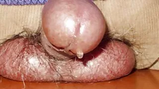 ໃຫຍ່ຮ່ວມເພດ toy ແລະ fuck ກົ້ນ