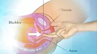 Licked pussy ໂກນ ຂອງ ຫມູ່ ເພື່ອນ ຂອງ ນາງ