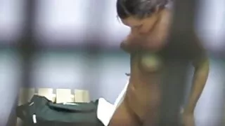 ປ່າສີ່ຫມູ່ເພື່ອນ