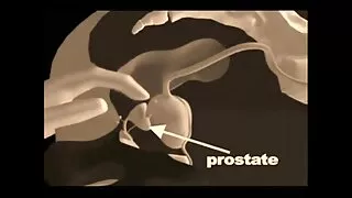 Blowjob ໃນລົດແລະການໂຫຼດ cum